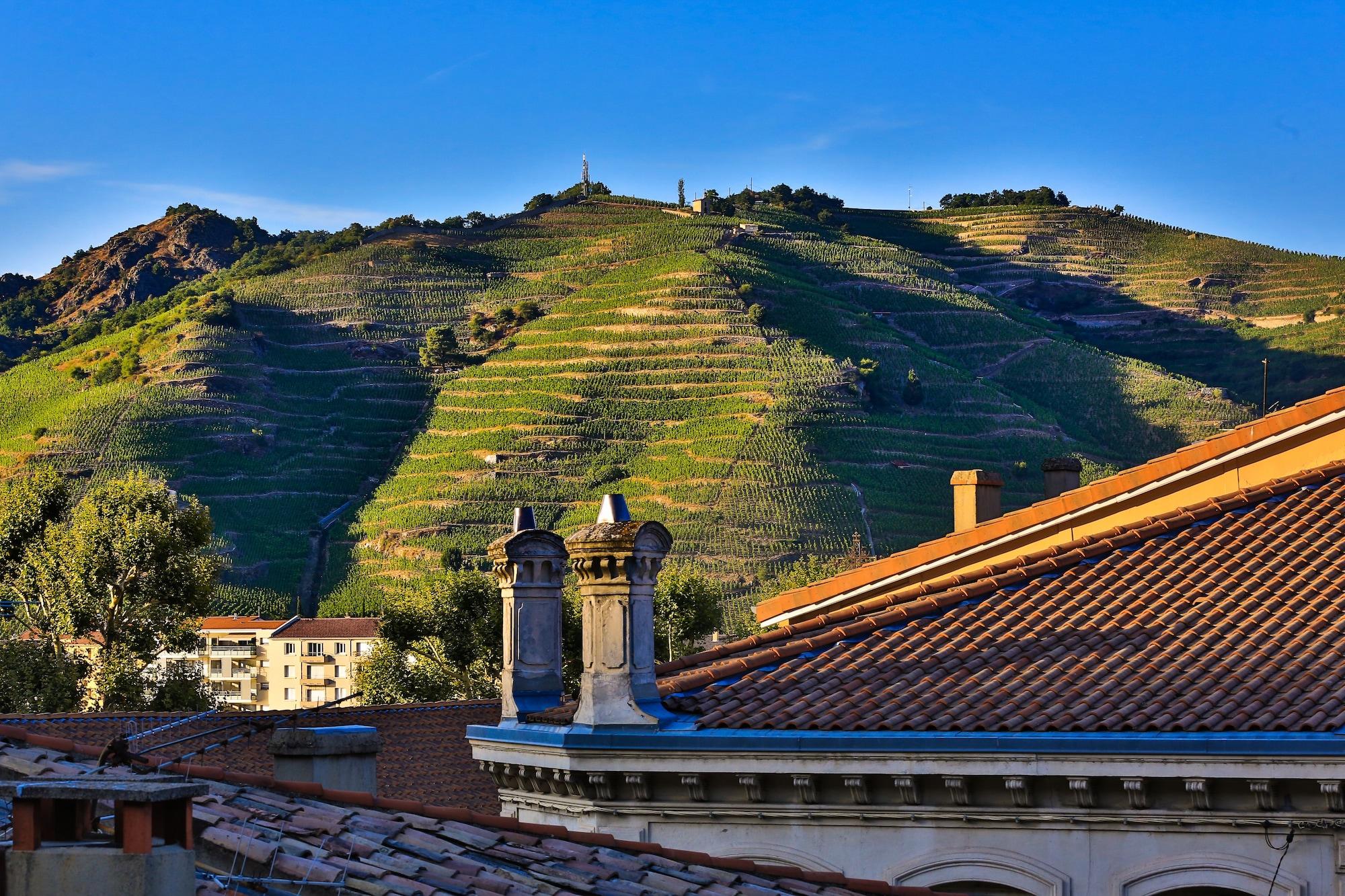 Hotel De La Villeon Tournon-sur-Rhone Luaran gambar